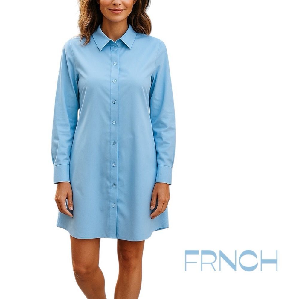 FRNCH Icy Blue Button Down Academia Classic Shirt Dress‎ Size L